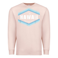 Pale Pink hawaii the aloha state   aloha hawaiian from the islands!! t shirt Premium Sweatshirt - linhVisuals