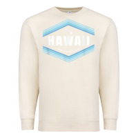 Sandshell hawaii the aloha state   aloha hawaiian from the islands!! t shirt Premium Sweatshirt - linhVisuals