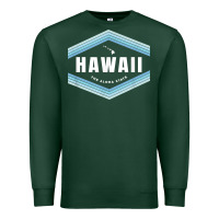 Sports Green hawaii the aloha state   aloha hawaiian from the islands!! t shirt Premium Sweatshirt - linhVisuals