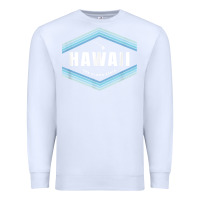 White hawaii the aloha state   aloha hawaiian from the islands!! t shirt Premium Sweatshirt - linhVisuals