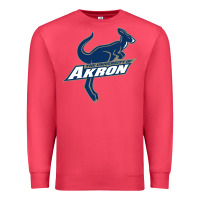 Cardinal university of akron Premium Sweatshirt - linhVisuals