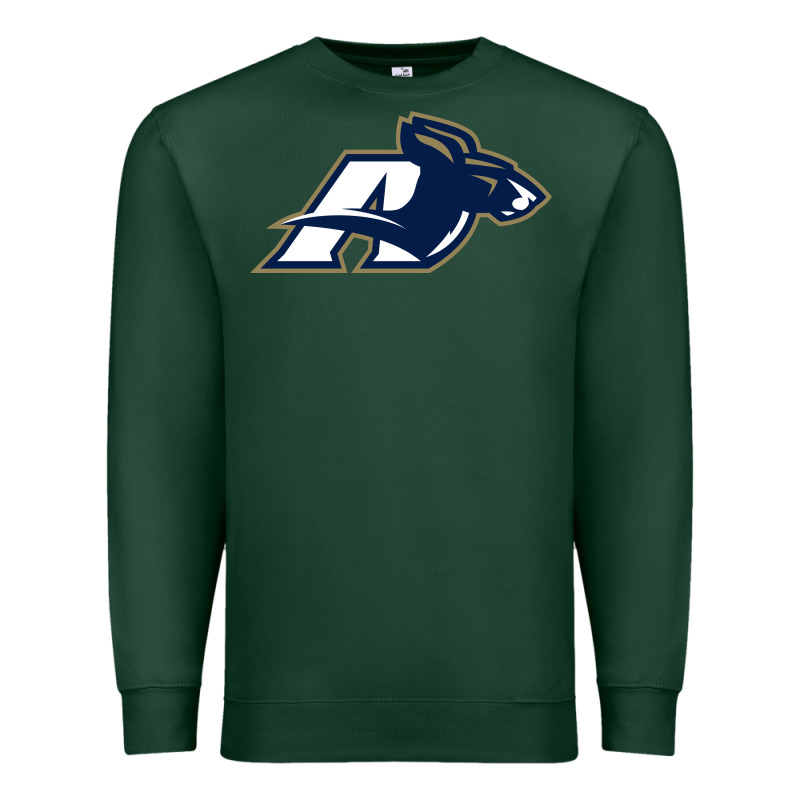 Akron University Zips Premium Sweatshirt by linhVisuals | Teevron