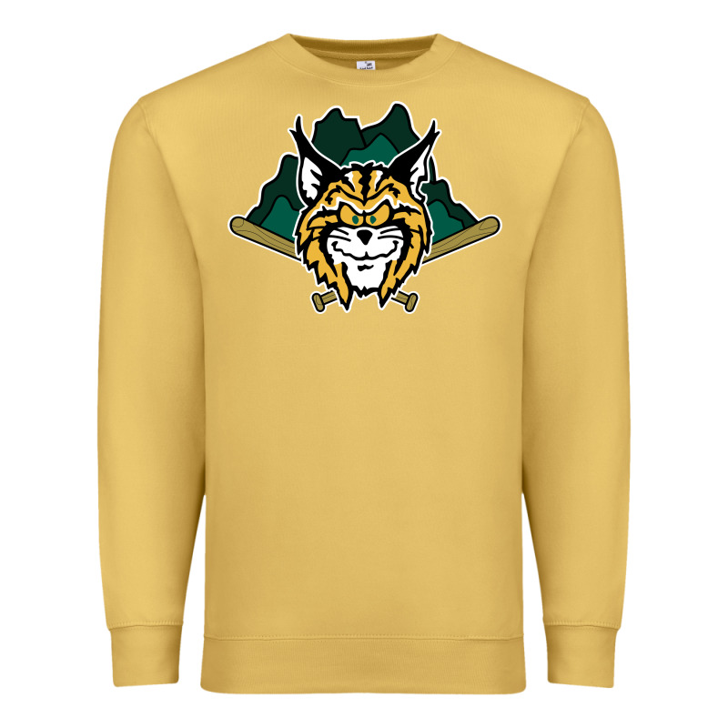 Lynchburg Hillcats Baseball Premium Sweatshirt by linhVisuals | Teevron