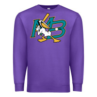 Purple the myrtle beach pelicans baseball Premium Sweatshirt - linhVisuals