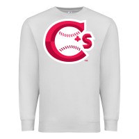 Dove Grey suitable-vancouver-canadians-worn Premium Sweatshirt - linhVisuals