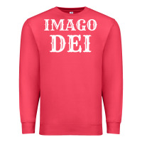 Cardinal imago dei image of god christian t shirt reformed jesus Premium Sweatshirt - linhVisuals