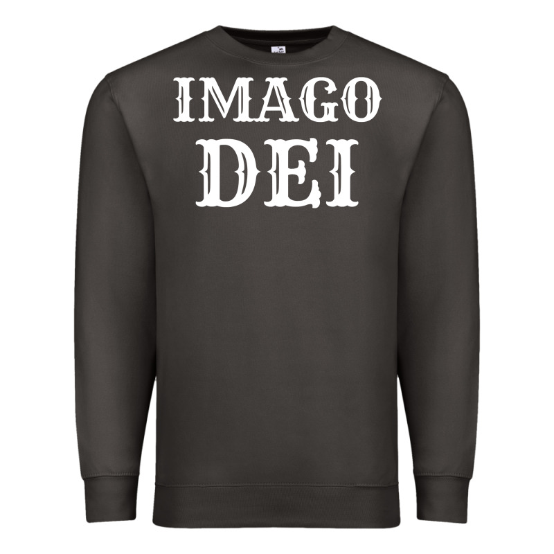 Imago Dei Image Of God Christian T Shirt Reformed Jesus Premium Sweatshirt by linhVisuals | Teevron
