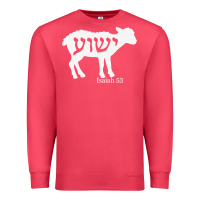 Cardinal isaiah 53 lamb yeshua jesus t shirt Premium Sweatshirt - linhVisuals