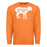 Carrot isaiah 53 lamb yeshua jesus t shirt Premium Sweatshirt - linhVisuals