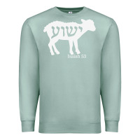 Seafoam isaiah 53 lamb yeshua jesus t shirt Premium Sweatshirt - linhVisuals