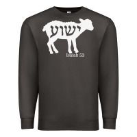 Isaiah 53 Lamb Yeshua Jesus T Shirt Premium Sweatshirt | Teevron