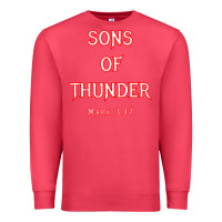 Cardinal sons of thunder zebedee james and john mark 317 bible t shirt Premium Sweatshirt - linhVisuals