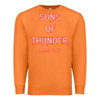Carrot sons of thunder zebedee james and john mark 317 bible t shirt Premium Sweatshirt - linhVisuals