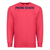 Cardinal Nittany lions, PSU,  athletics gear Premium Sweatshirt - linhVisuals