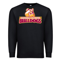 Black brooklyn college Premium Sweatshirt - linhVisuals