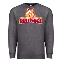 Charcoal Heather brooklyn college Premium Sweatshirt - linhVisuals
