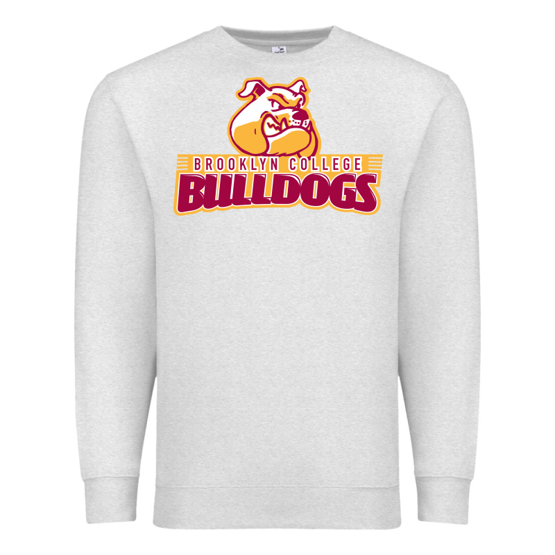 Brooklyn College Premium Sweatshirt by linhVisuals | Teevron