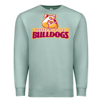 Seafoam brooklyn college Premium Sweatshirt - linhVisuals