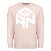 Pale Pink Gancube Premium Sweatshirt - linhVisuals