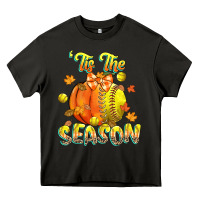 Asphalt its the season softball Heavy Core Tee - CowGirlArtShop