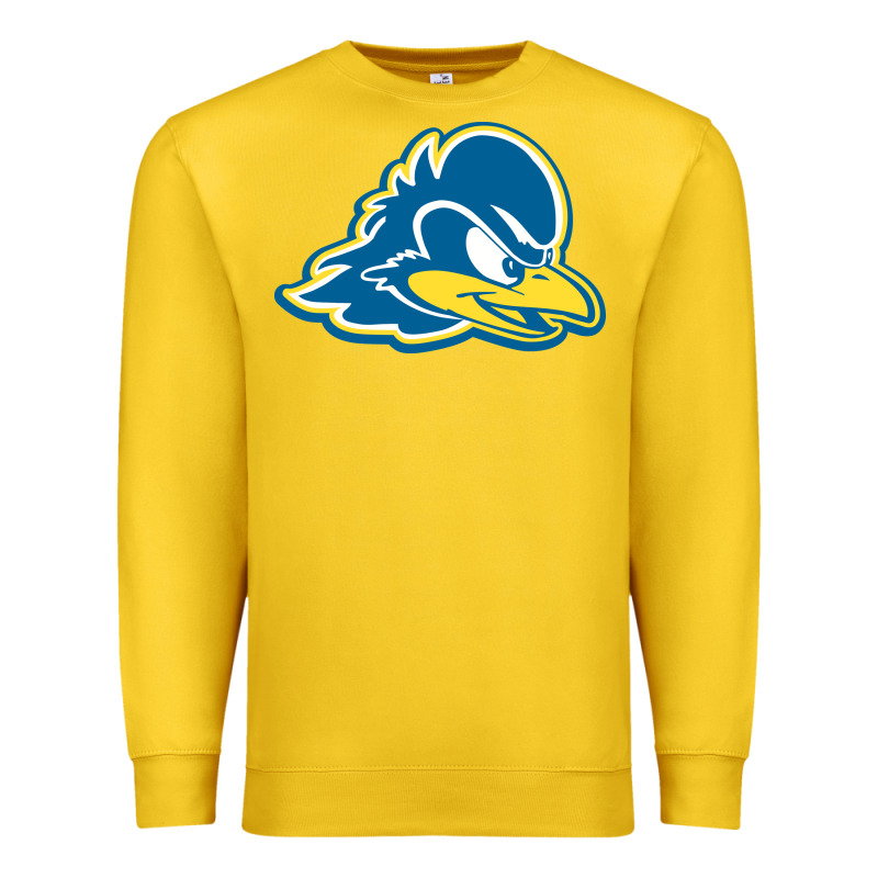 Delaware Blue Hens Premium Sweatshirt by linhVisuals | Teevron