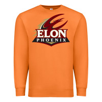 Carrot elon phoenix Premium Sweatshirt - linhVisuals
