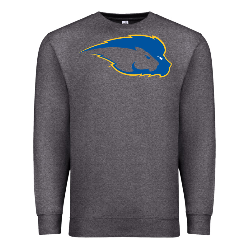 Hofstra Pride Premium Sweatshirt by linhVisuals | Teevron