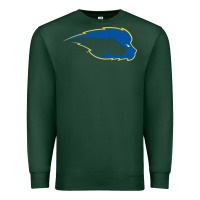 Sports Green hofstra pride Premium Sweatshirt - linhVisuals