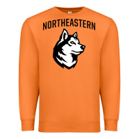 Carrot northeastern huskies Premium Sweatshirt - linhVisuals