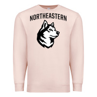 Pale Pink northeastern huskies Premium Sweatshirt - linhVisuals
