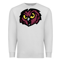 Dove Grey temple owls Premium Sweatshirt - linhVisuals