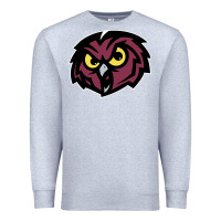 Heather Grey temple owls Premium Sweatshirt - linhVisuals