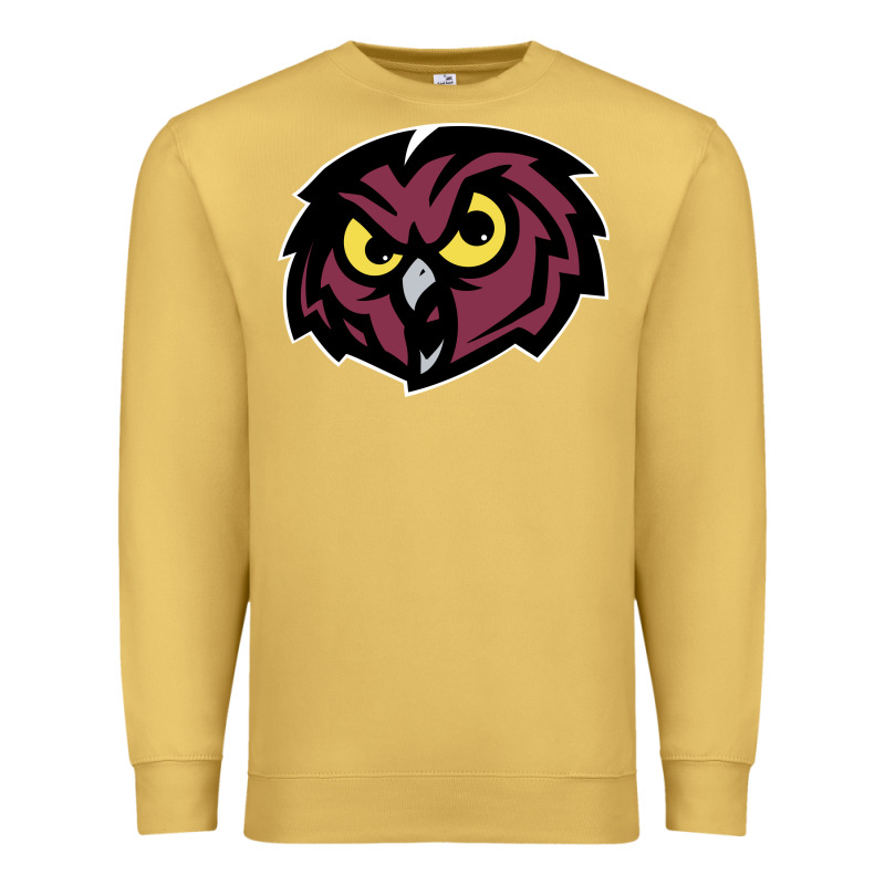 Temple Owls Premium Sweatshirt by linhVisuals | Teevron