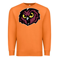 Carrot temple owls Premium Sweatshirt - linhVisuals