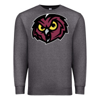 Charcoal Heather temple owls Premium Sweatshirt - linhVisuals