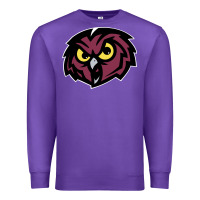 Purple temple owls Premium Sweatshirt - linhVisuals