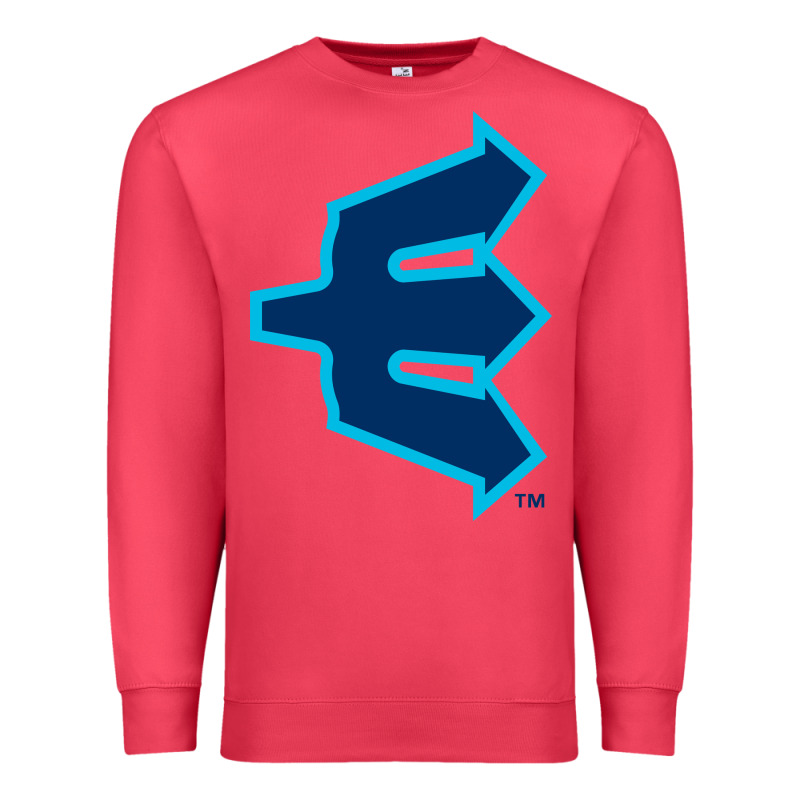Everett Aquasox Premium Sweatshirt by linhVisuals | Teevron