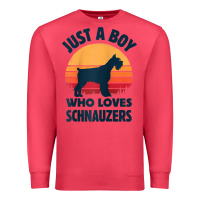Cardinal schnauzer just a boy who loves dogs men retro vintage sunset raglan ba Premium Sweatshirt - linhVisuals