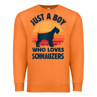 Carrot schnauzer just a boy who loves dogs men retro vintage sunset raglan ba Premium Sweatshirt - linhVisuals