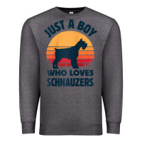 Charcoal Heather schnauzer just a boy who loves dogs men retro vintage sunset raglan ba Premium Sweatshirt - linhVisuals