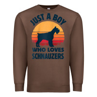 Chestnut schnauzer just a boy who loves dogs men retro vintage sunset raglan ba Premium Sweatshirt - linhVisuals