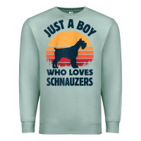 Seafoam schnauzer just a boy who loves dogs men retro vintage sunset raglan ba Premium Sweatshirt - linhVisuals