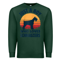 Sports Green schnauzer just a boy who loves dogs men retro vintage sunset raglan ba Premium Sweatshirt - linhVisuals