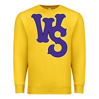 Winston-salem-dash Premium Sweatshirt | Teevron