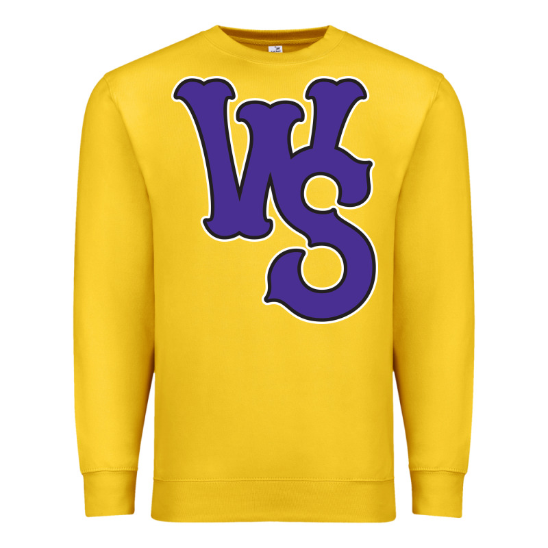 Winston-salem-dash Premium Sweatshirt by linhVisuals | Teevron