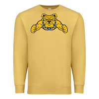 Antique Gold north carolina a&t aggies Premium Sweatshirt - linhVisuals