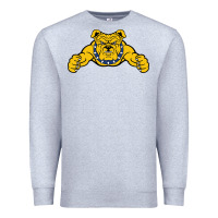 North Carolina A&t Aggies Premium Sweatshirt | Teevron