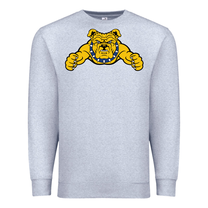North Carolina A&t Aggies Premium Sweatshirt by linhVisuals | Teevron