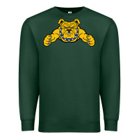 Sports Green north carolina a&t aggies Premium Sweatshirt - linhVisuals