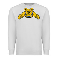 Dove Grey north carolina a&t aggies Premium Sweatshirt - linhVisuals